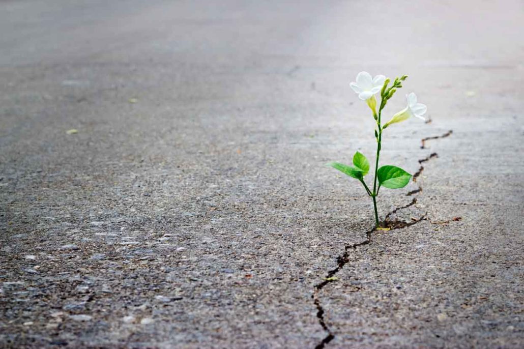 4 Ways to be More Hopeful